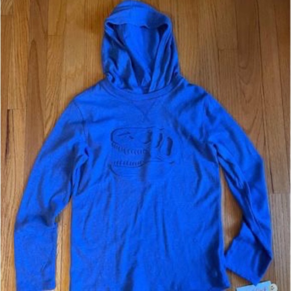 Boys Large Dinosaur Sweatshirt